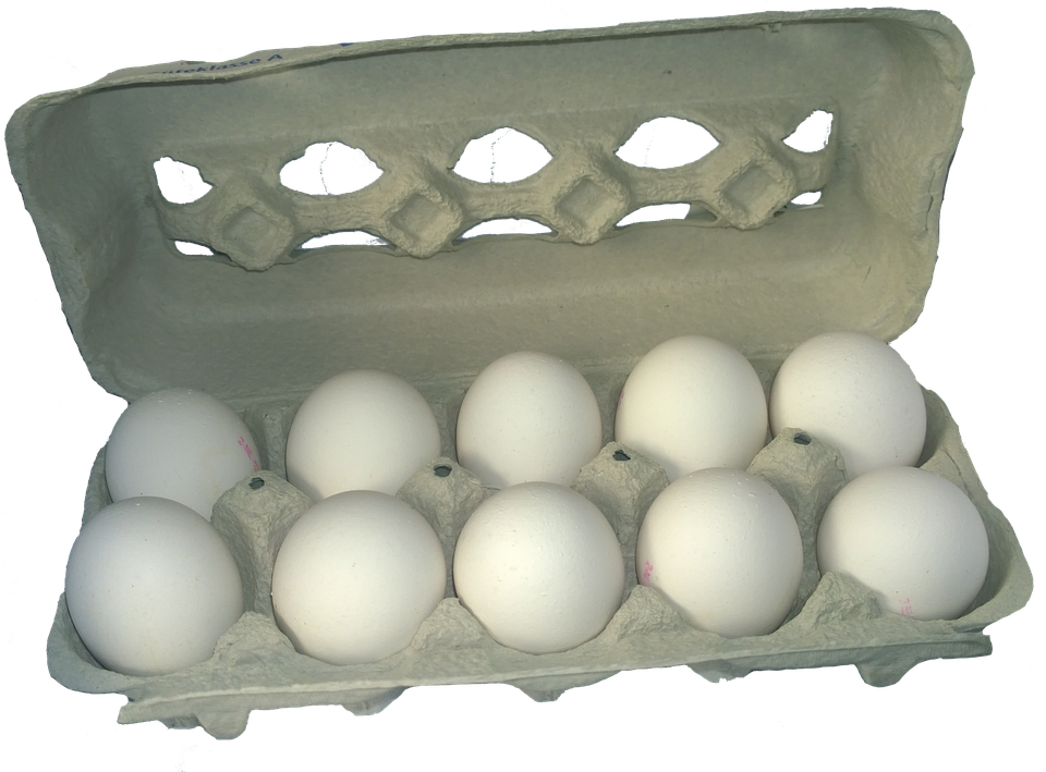 Edgecombe County mom thinks family got salmonella from recalled eggs