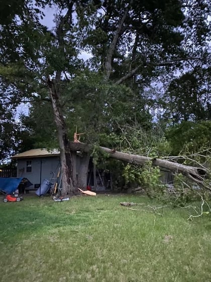A downed tree lays over a building in one area of Columbia County after severe storms. (Courtesy: LeeAnn Warden)