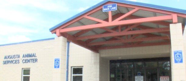 Augusta Animal Services holding adoption and vaccination event Saturday