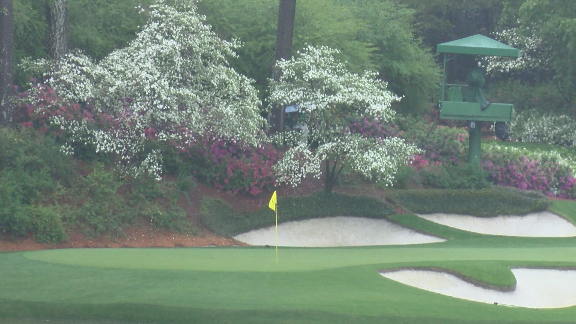 Experts talk about what it takes to keep the Augusta National la - WFXG