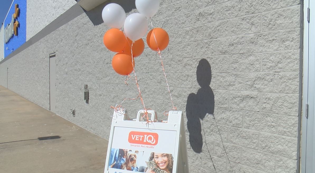 vetiq pet care walmart
