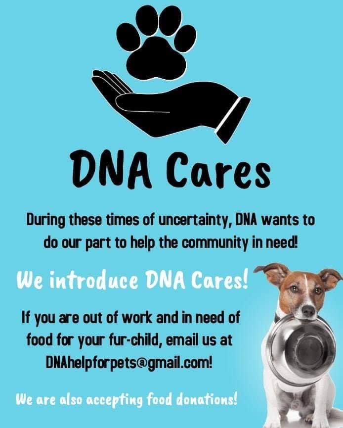 Dog and Cats Networking Agents wants to help pet owners who need