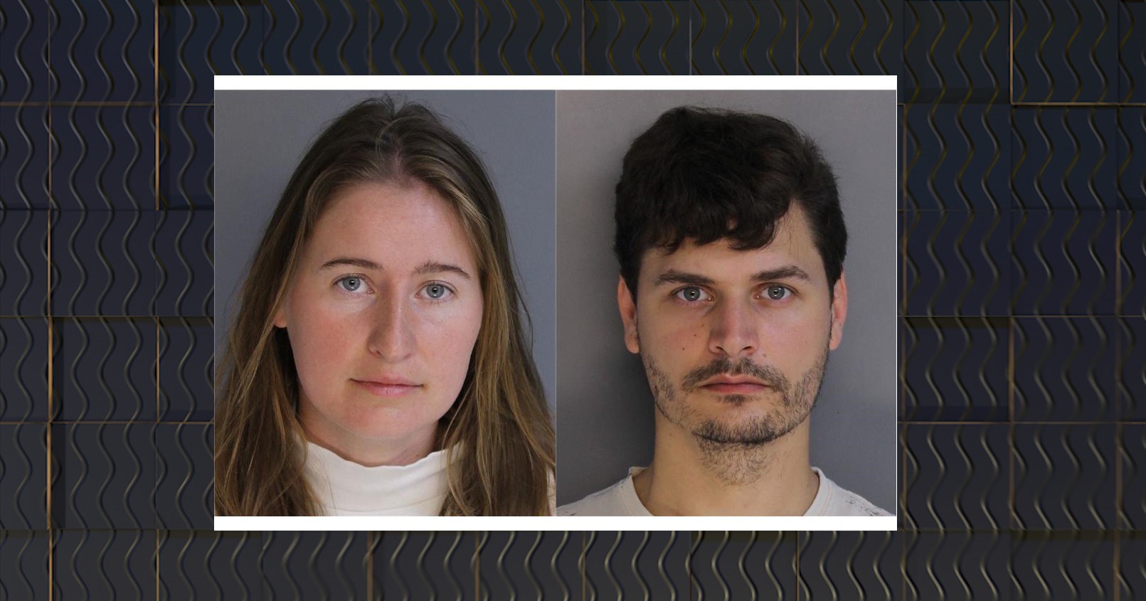 Two charged for sex acts with horse in Aiken - WFXG