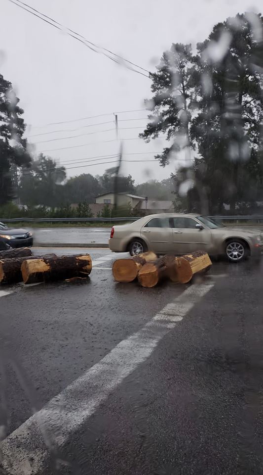 Authorities on the scene of logs blocking Furys Ferry Road off