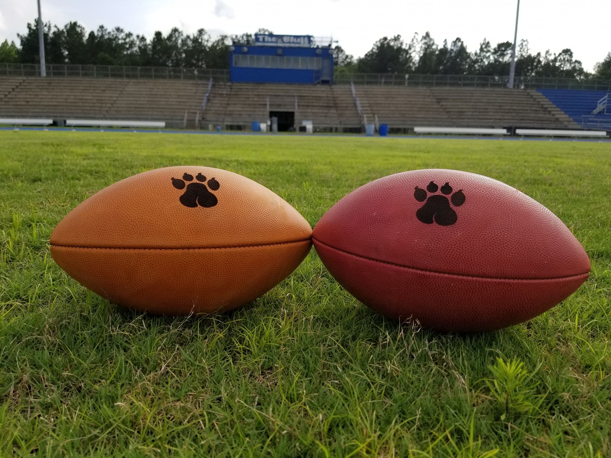 Silver Bluff vs. Pelion High School football game postponed due to