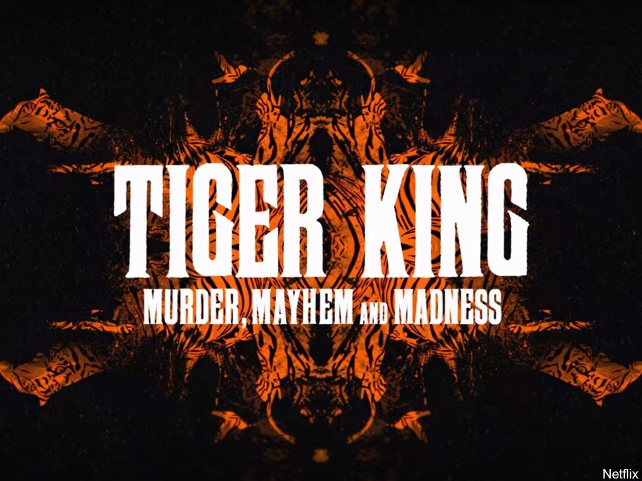 Myrtle Beach Safari owner featured on 'Tiger King' charged ...