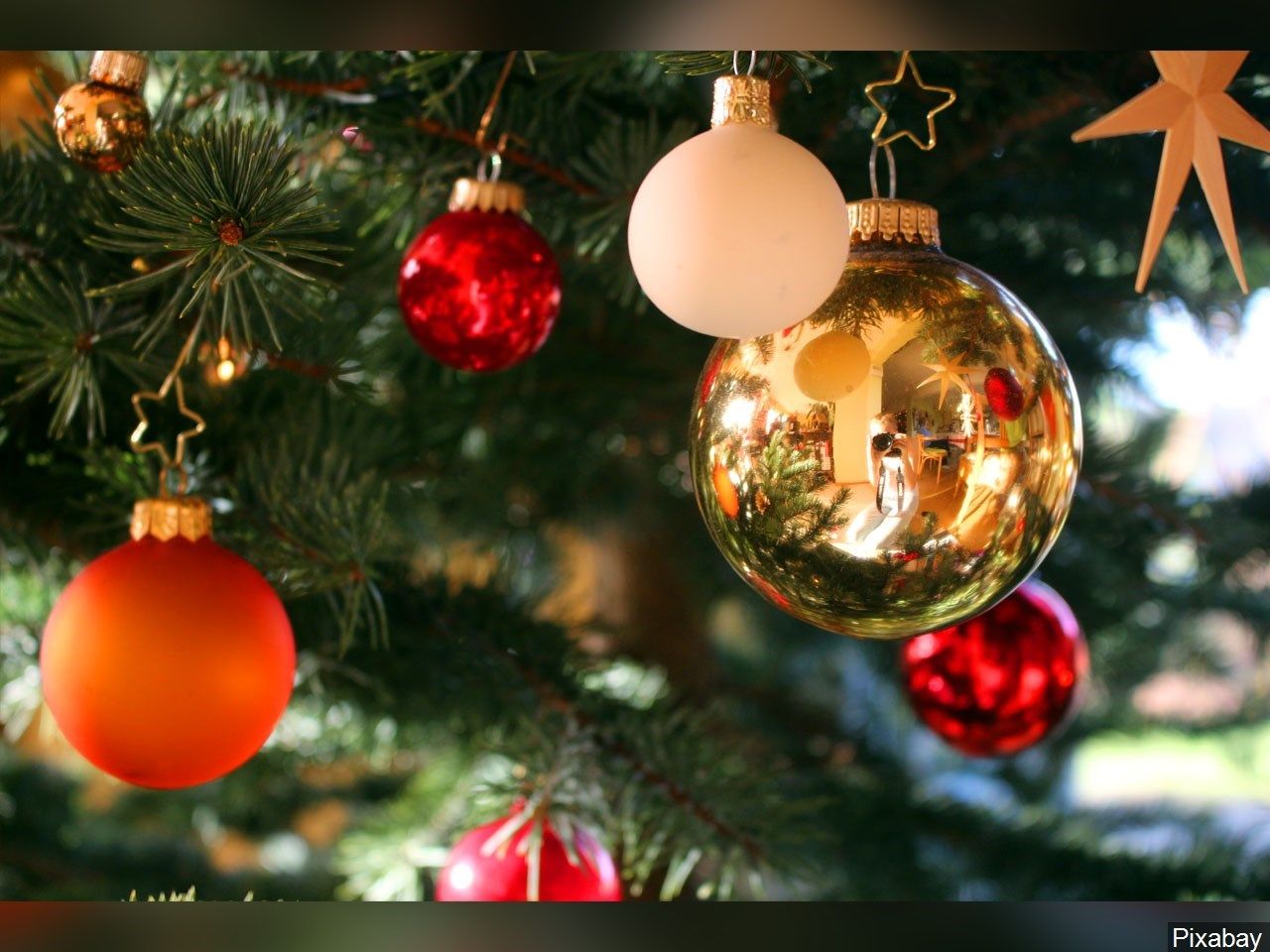 Columbia County Christmas Tree Lighting 2022 Christmas Comes To Columbia County - Wfxg