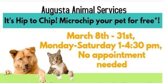 Augusta Animal Services Offering Free Microchipping Wfxg